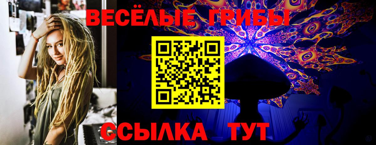 Галлюциногенные грибы Cubensis Ачхой-Мартан