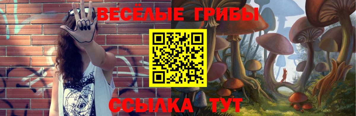 Псилоцибиновые грибы MAGIC MUSHROOMS  Псилоцибиновые грибы мухоморы  Вход с VPN  Ачхой-Мартан 